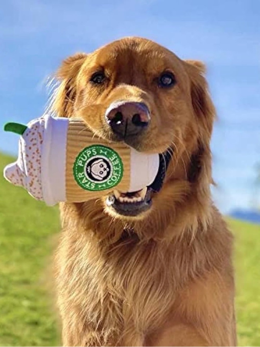 Bark Plush Coffee Cup Toy - White, Brown, Green